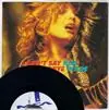 Special Offer I CANT SAY GOODBYE / SANJAZZ