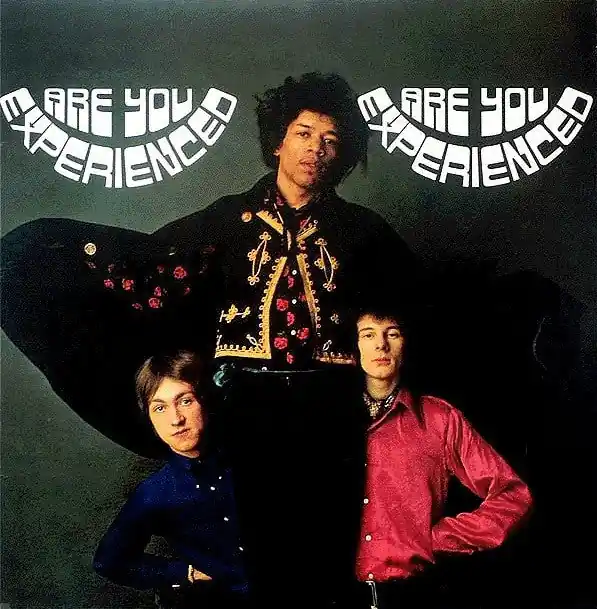 The Jimi Hendrix Experience – Are You Experienced - New Vinyl Record (Ltd Ed Numbered 200 Gram) (2013 Mono Reissue of 1967 UK Press) Today Only